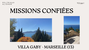 STAGE BUT 2 - PELTRIAUX ALIÉNOR