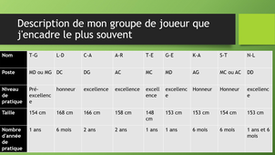 rapport de stage Dutto Lisandru