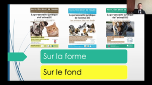3. Avant-propos - Le droit du vivant défini dans le cadre de la trilogie sur la personnalité juridique de l’animal (Caroline Regad et Cédric Riot)