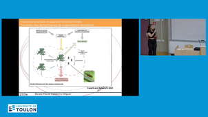Chaud Devant ! Les canicules et les sécherres vont tout faire cramer