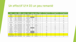 CHANEL-G26-L2STAPS-Rapport de Stage S4