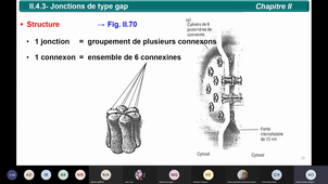 Cours B11_n°17_07 12 2020