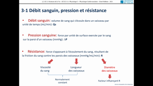 STAPS L1 PHYSIO 3 CARDIOVASCULAIRE GRUET PARTIE 3