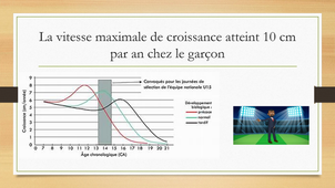 Mémoire 1er semestre Stage Licence ES GODEL Julien