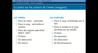 B46 - chapitre 1 - Révisions