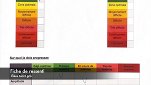 Situation adaptée.mp4