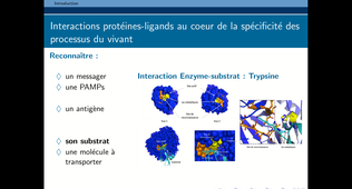 RAB35 - Modèles en SV - Chapitre 3 - partie 1