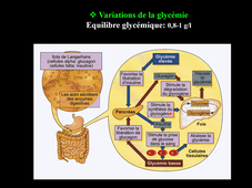 L3 ES 6.5.1. Connaissance du secteur professionnel: ES. Nutrition et Exercice Physique TD1 commenté