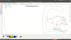 Chapitre3 - Vue générale des voies liées aux oses