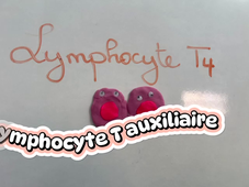 Réponse immunitaire BGB-10