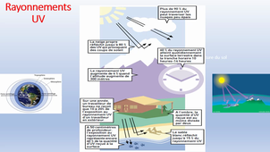 L2 STAPS PHYSIOLOGIE ALTITUDE