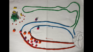 RAB46, réponse immunitaire