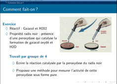 RAB35 - Chapitre 4 - II. Principe des études de Cinétique