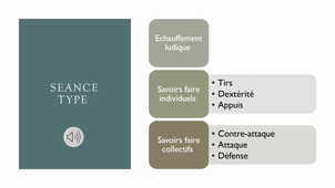 Rapport stage_S4_Souchon