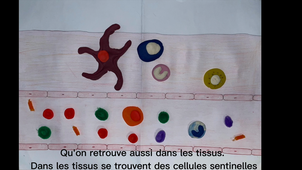 Projet B46 groupe 14