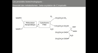 B44 - Chapitre 1 - séance 2