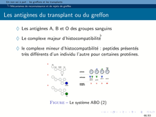 B67 - Chapitre 2 - Greffes et transplantations