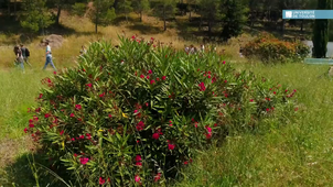 Les élèves du collège Marcel Pagnol à la découverte de SeaTech