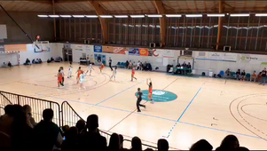 vidéo rapport de stage L3 ES G38 PELLET Iris