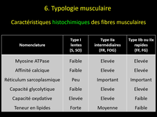 CM3 Physiologie musculaire commenté