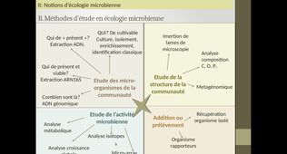 B35 - Microbiologie - Chapitre III - fin