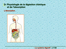 Physiologie digestive vidéo de la partie 4 (2) sur 4