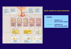 CM Physiologie 5 Genre Commenté