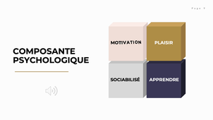 rapport de stage de Félix Barbaud