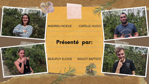 L2SVSEGE3-présentation.mp4