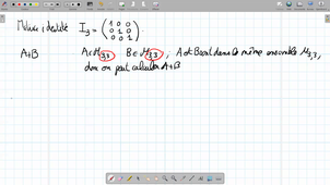 L1ECO - TD - Exercice 1.1 (somme matrices - produit par un réel)