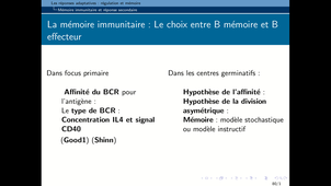 B46-Immunologie1-Chapitre3-IV Mémoire