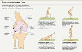 Spécialité Rugby - LTP - Incidences des blessures. Lésions du LCA: mécanismes et prévention.
