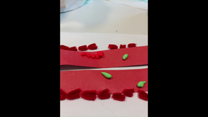 immunologie vidéo 8