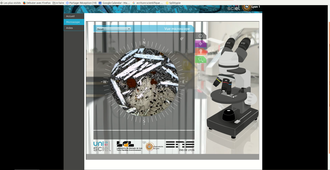 Utilisation d'un microscope polarisant (ici virtuel)