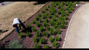 L’UTLN partenaire de la réinsertion avec le Club des jeunes