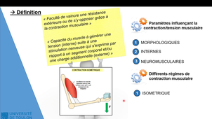 Partie Force - Prépa physique Robin SOURON