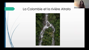 8. (Ré)concilier les approches environnementale et animale - Le levier de la personnalité juridique des animaux sauvages (Caroline Regad)