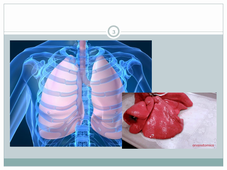 Préparation aux TP 2