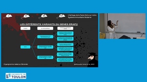 La Peste Noire : L’Epidémie Qui a Secoué l’Histoire