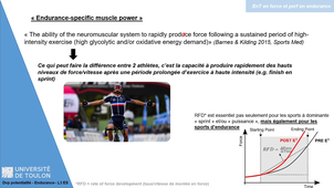 CM 1 - Potentiel Endurance L3 ES