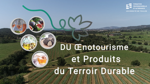 Découvrez le DU Oenotourisme et produits du terroir durable de la DFPA