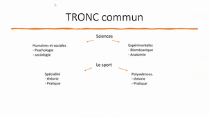 Travail Audiovisuel Dos Santos Adrien