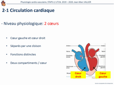 Physiologie cardio-vasculaire vidéo de la partie 1 sur 4