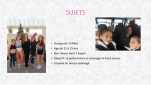 Rapport de stage Gallay Logerais chloé