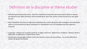 Stage Gallay Logerais Chloé S4