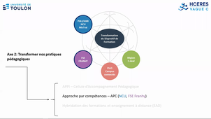 Présentation composantes: STAPS