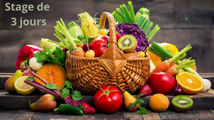 CVV-OLIVIER Maïlis.mp4