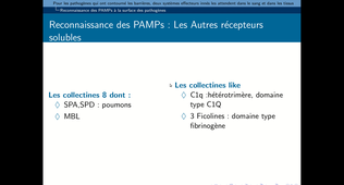 B46 - chapitre 2 - II