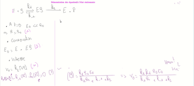 RAB35-chapitre4-Demonstration-EtatStationnaire.mp4