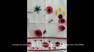 SAE B46 - 2023 - NAMIECH / NOVOTNY / SRIRI / BIONDI - groupe vidéo 10